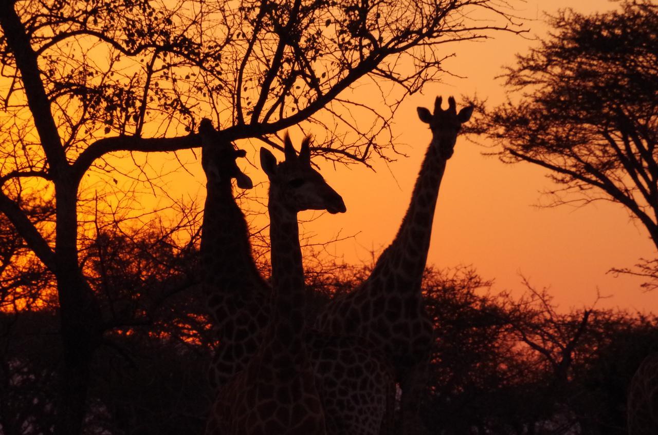Frans Indongo Lodge Очиваронго Екстер'єр фото